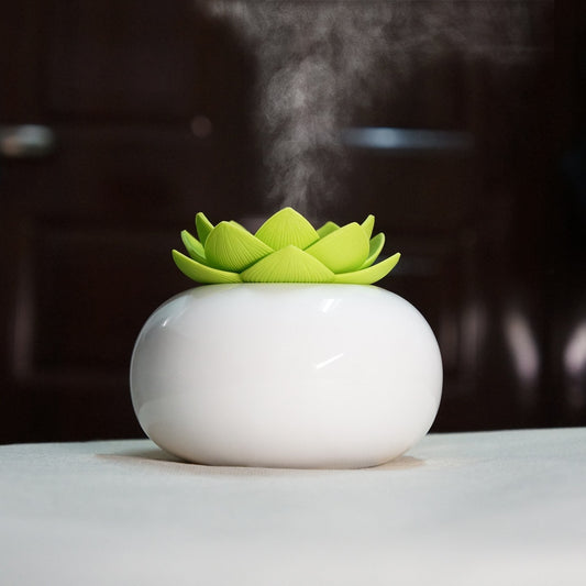 Lotus Flower Diffuser