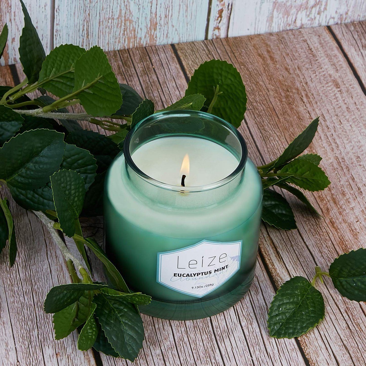 Eucalyptus Mint Aromatherapy Soy Candle