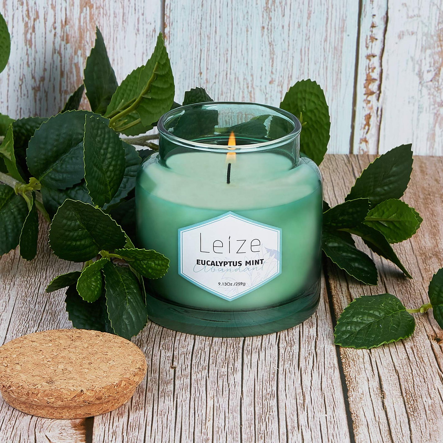 Eucalyptus Mint Aromatherapy Soy Candle