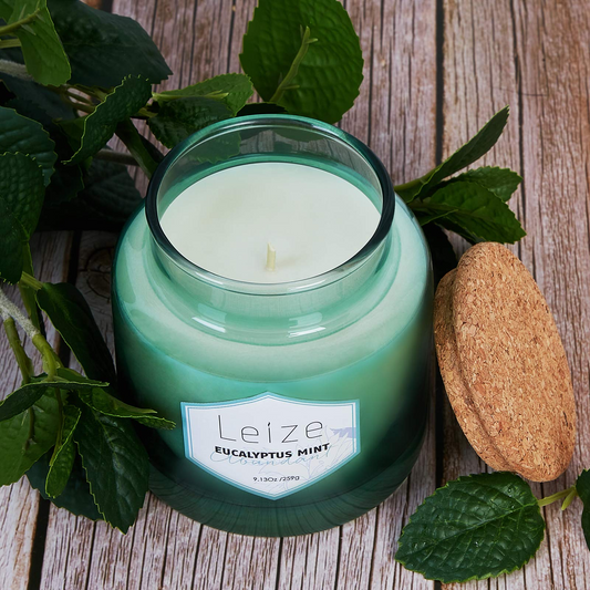 Eucalyptus Mint Aromatherapy Soy Candle